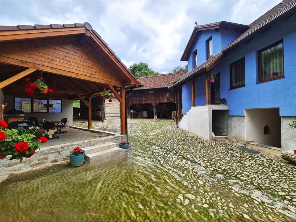 Casa \ Fantanele \ Marginimea Sibiului \ Sibiu