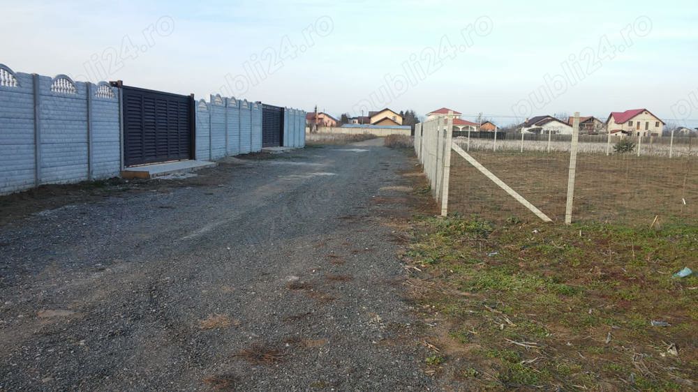 Dascălu Ilfov Loturi de 1300 mp și de 650 mp  intravilan 