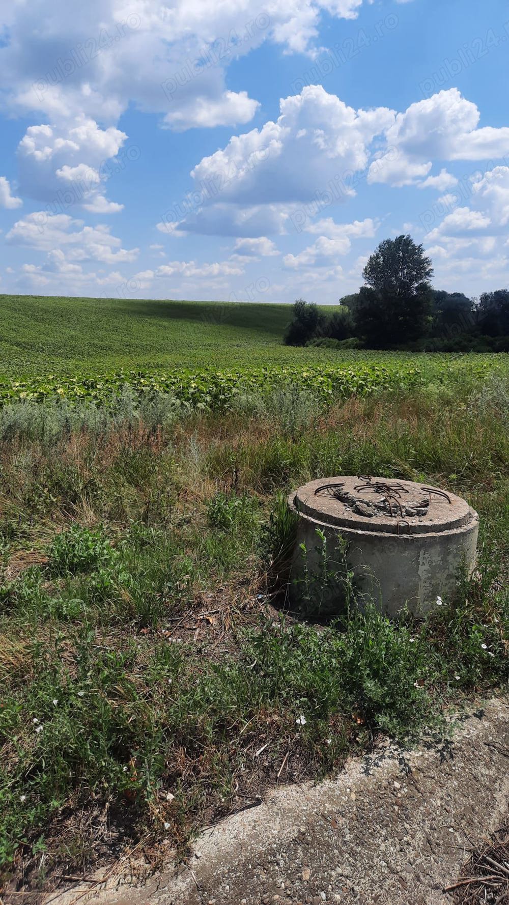 Teren Dumbravajud Bacau agricol,extravilan. Pretabil investitie turism,depozit,industrie alimentara 