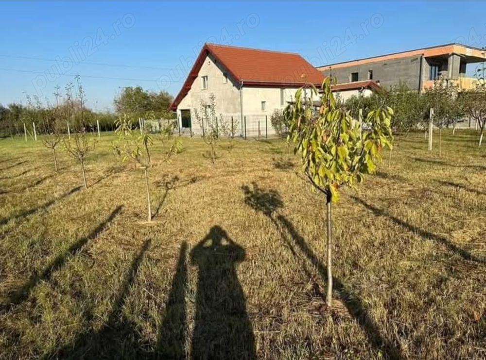 Teren intravilan Zadareni, Arad