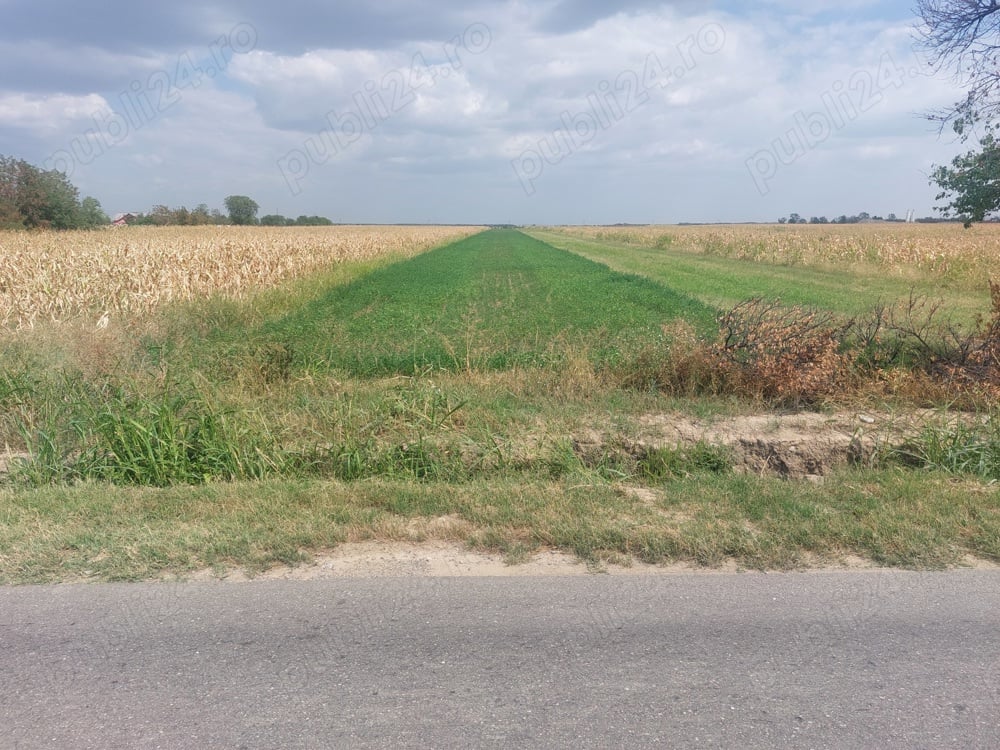 Vând teren 4100m intravilan Comuna Manesti Sat Zalhanaua