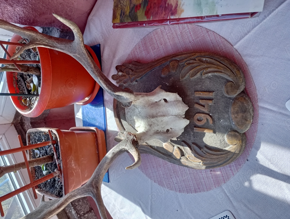 Coarne CERB lopatar (1941)