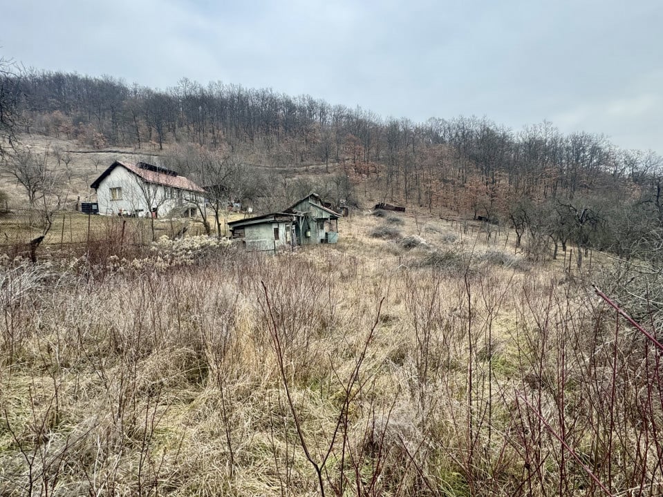 Teren intravilan loc casa panorama Alunului