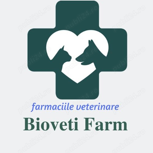 Angajam coleg medic veterinar Angajam coleg medic veterinar