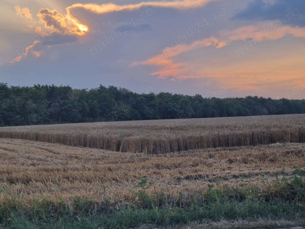 Vand teren agricol lehliu gara