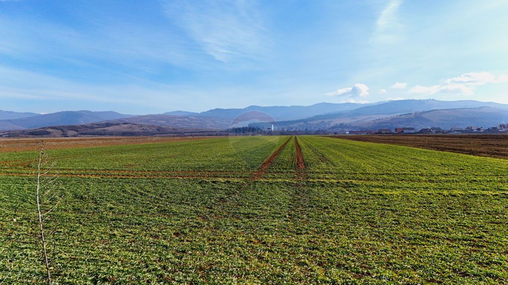 Teren extravilan | 14,600mp | Tărlungeni