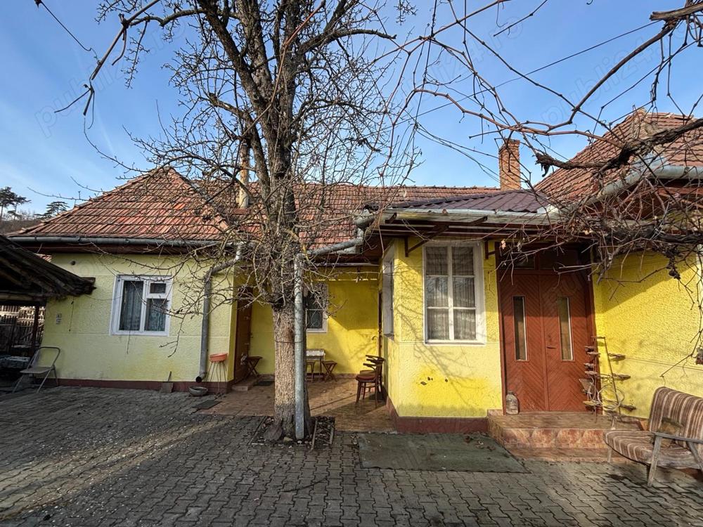 Casa cu teren de vanzare strada Voinicenilor