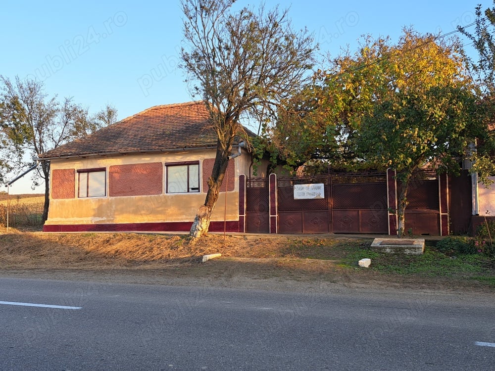 Vand casa cu gradina mare in localitatea CRAIVA + 1 ha de teren