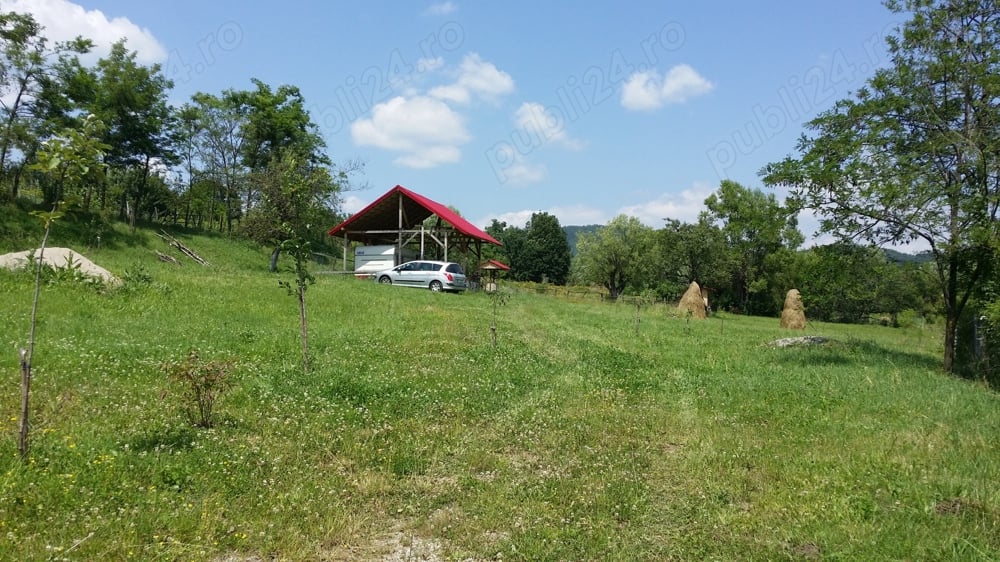 Vanzare loc de casa, teren cu utilitati Galesu Arges 5000mp Intravilan