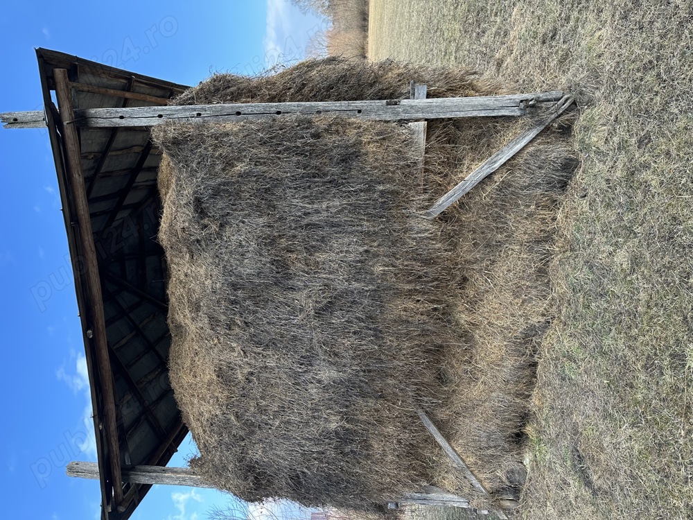 De vânzare fan  otava 