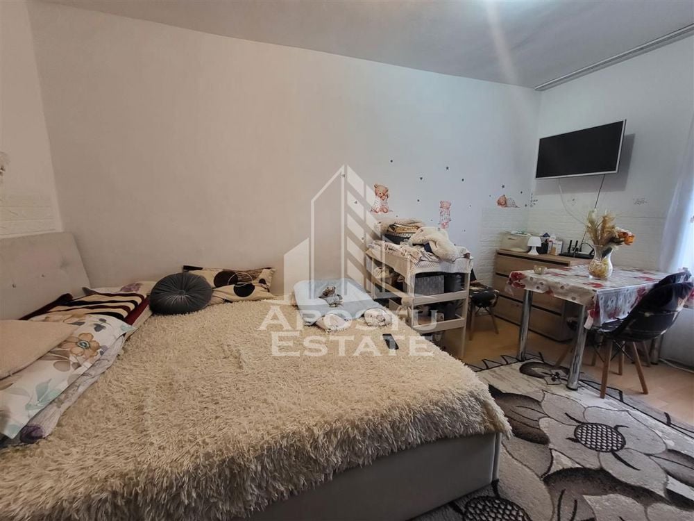 Apartament cu 1 camera, etaj intermediar, langa Iulius Mall