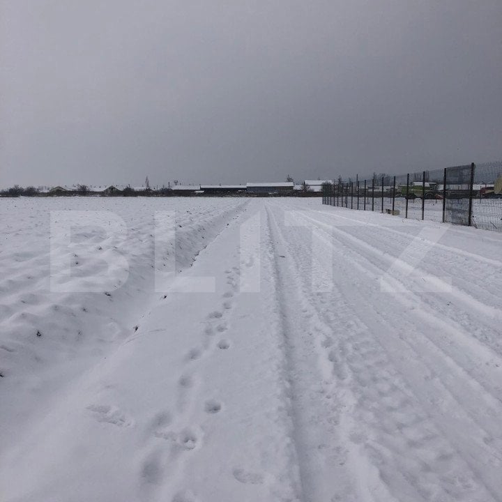 Teren intravilan de vanzare, parcelabi, 12.000 mp, zona Codlea, Brasov