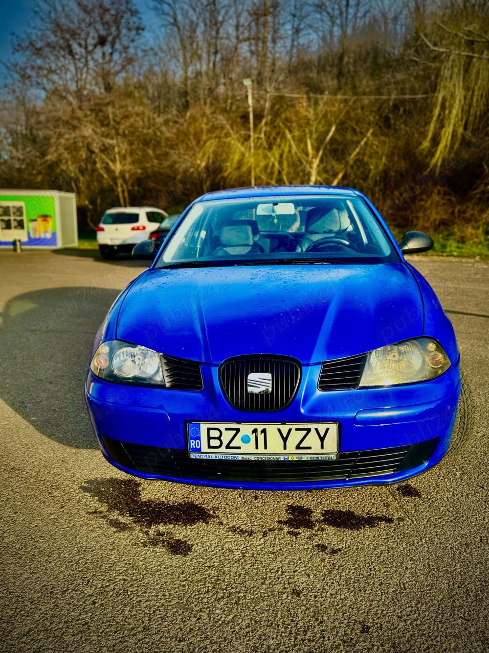 Seat Ibiza 1.2 benzina 2004