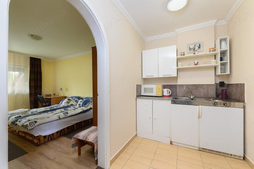 Inchiriere apartament 3 camere Cismigiu