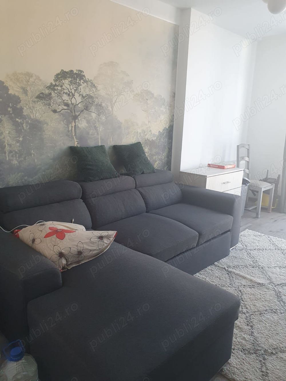 Apartament 2 camere etaj 1 Doamna Stanca