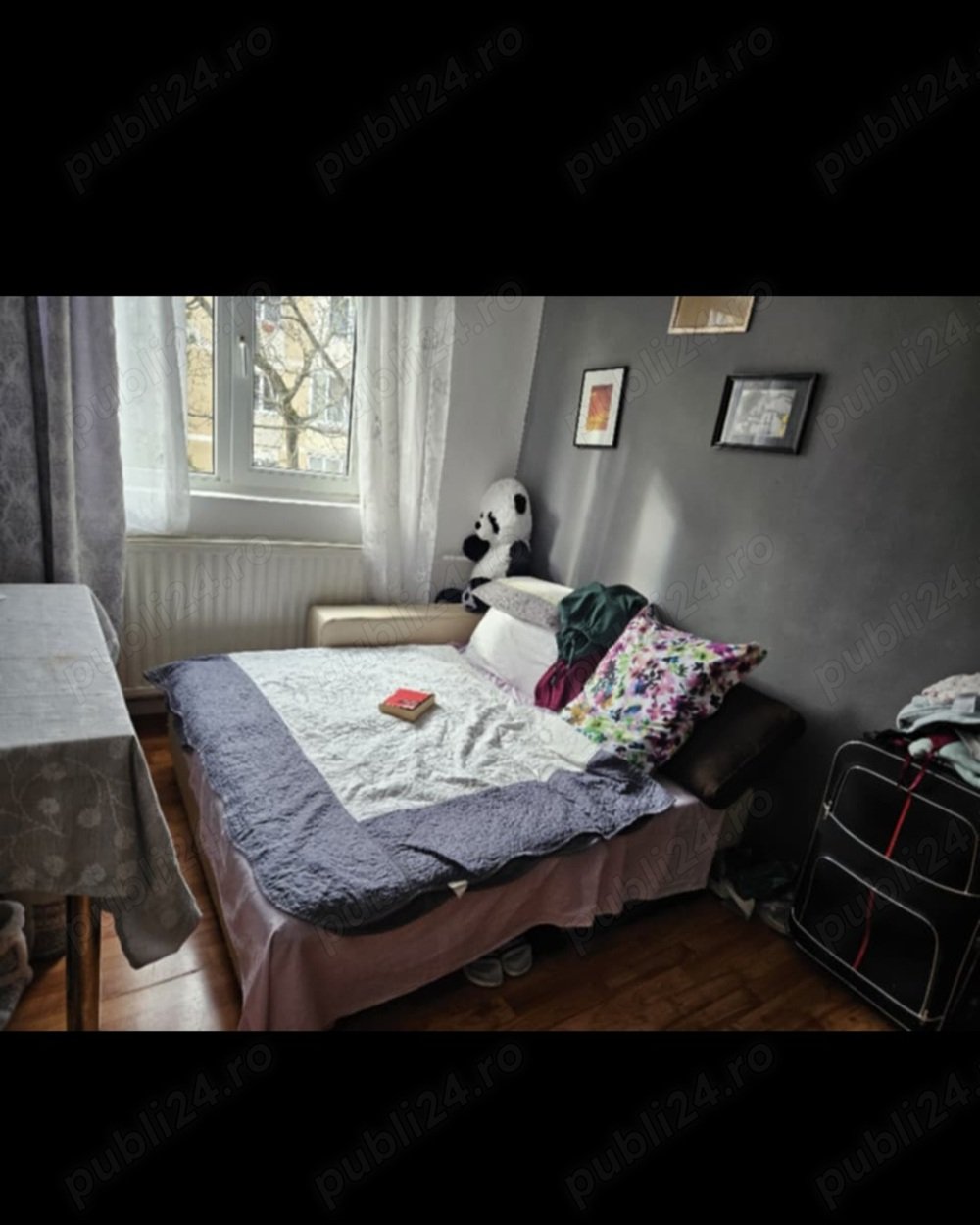 Caut colega de Apartament în Oradea