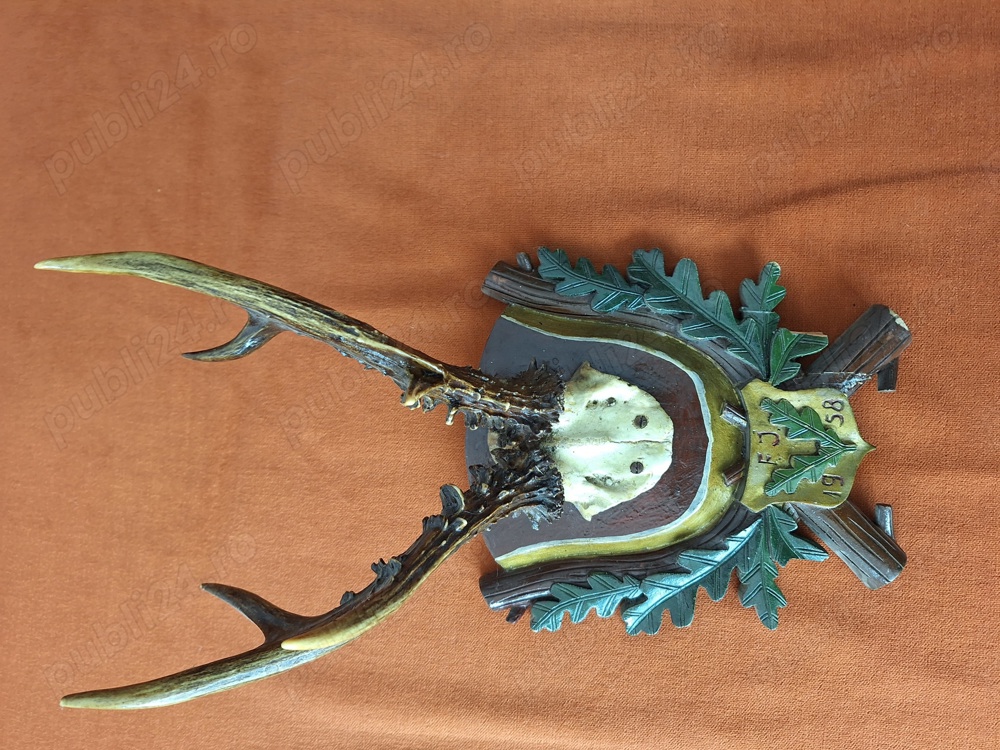 Vând - Vechi trofeu vanatoresc   panoplie caprior 1958