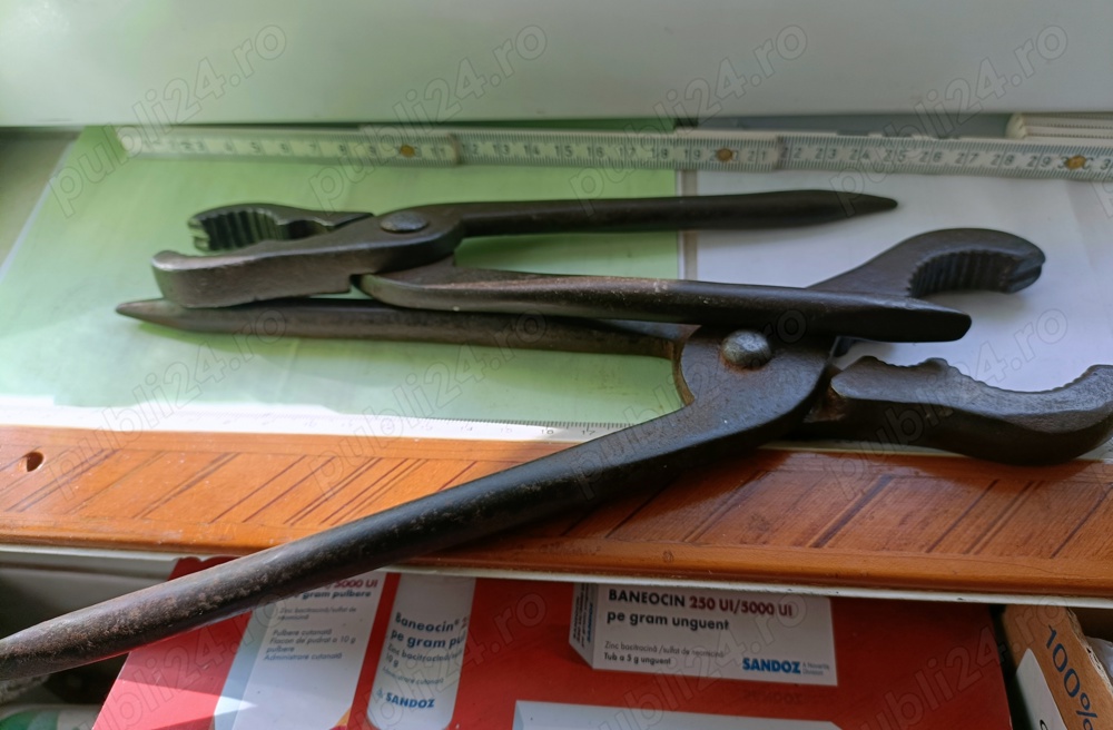 scule fierar betonist clesti levier