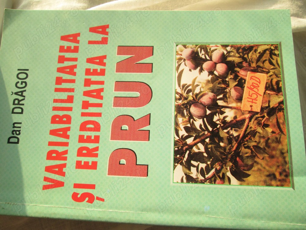 Variabiitatea si ereditatea la prun
