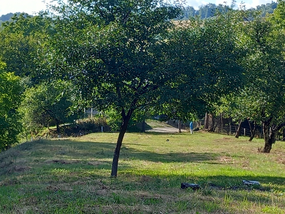 Teren zona Vladesti