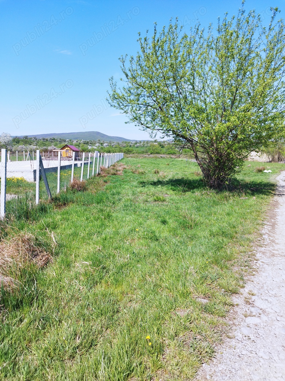 De vânzare teren intravilan în Rusu Bârgăului. Județul Bistrița-Năsăud