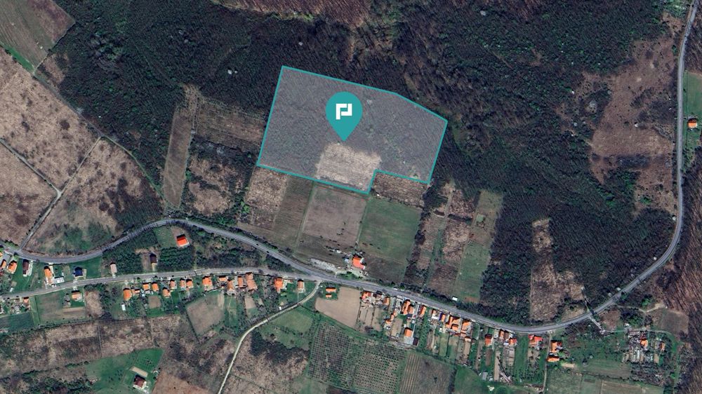 Teren de vânzare – 4,83 ha | Dealul Viilor, Lugoj