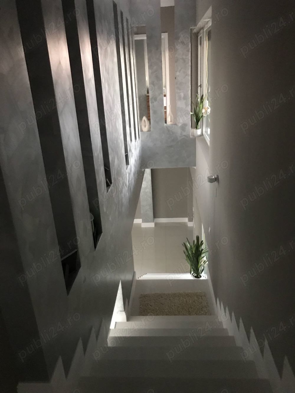 Zugravul Caei Tale ,Renovez si Finisez 