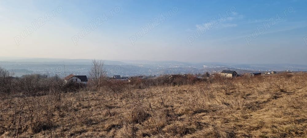 1600 mp teren , extravilan, Bucium, Boiangiu, langa padurea de pini