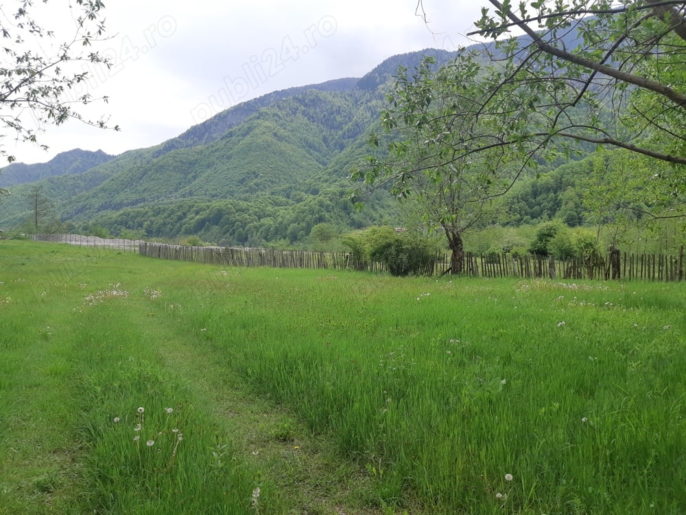 Teren de vânzare in Malaia(Vâlcea)