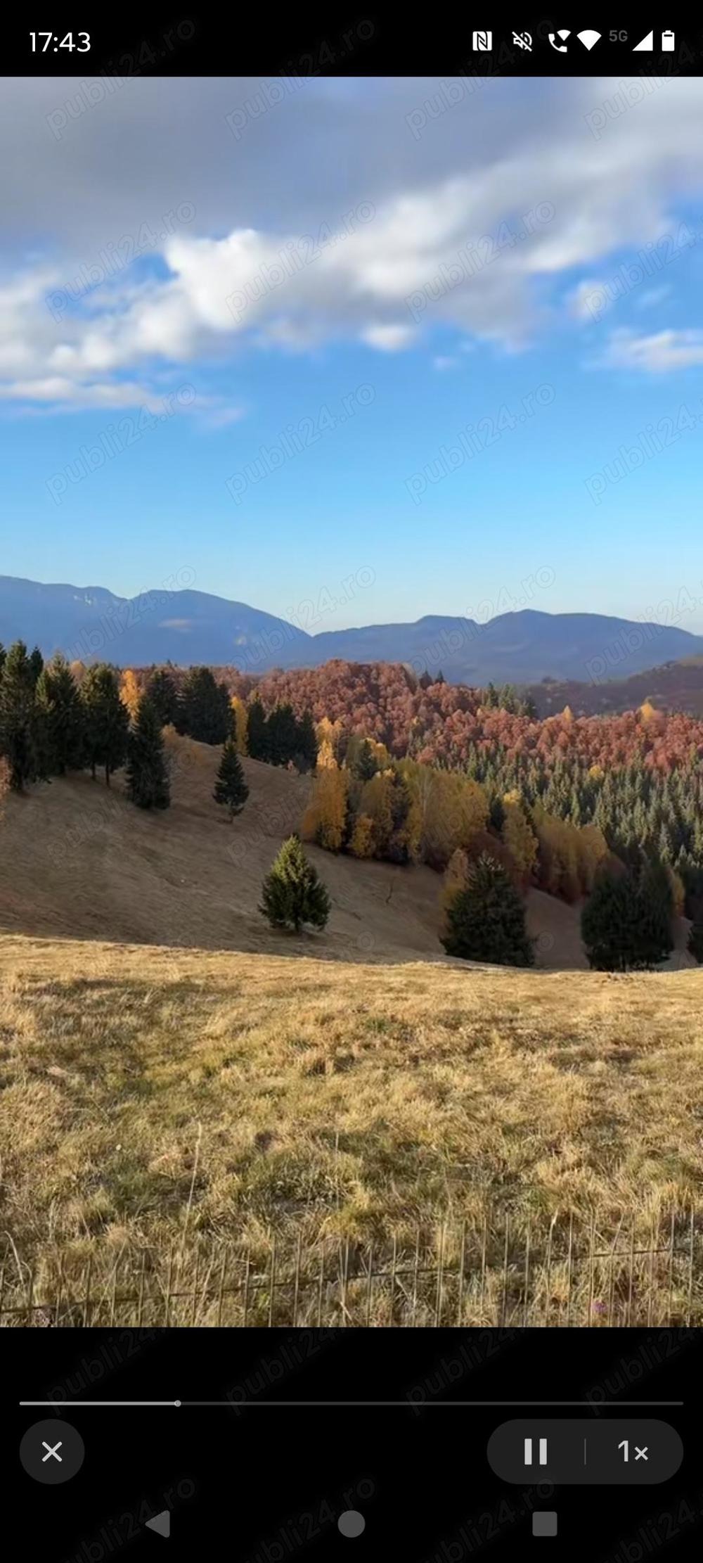 Teren la munte cu izvor pentru casuta de vacanta