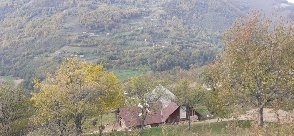 Casa de piatra cu 66 ari (10 intravilan) Capalna Alba