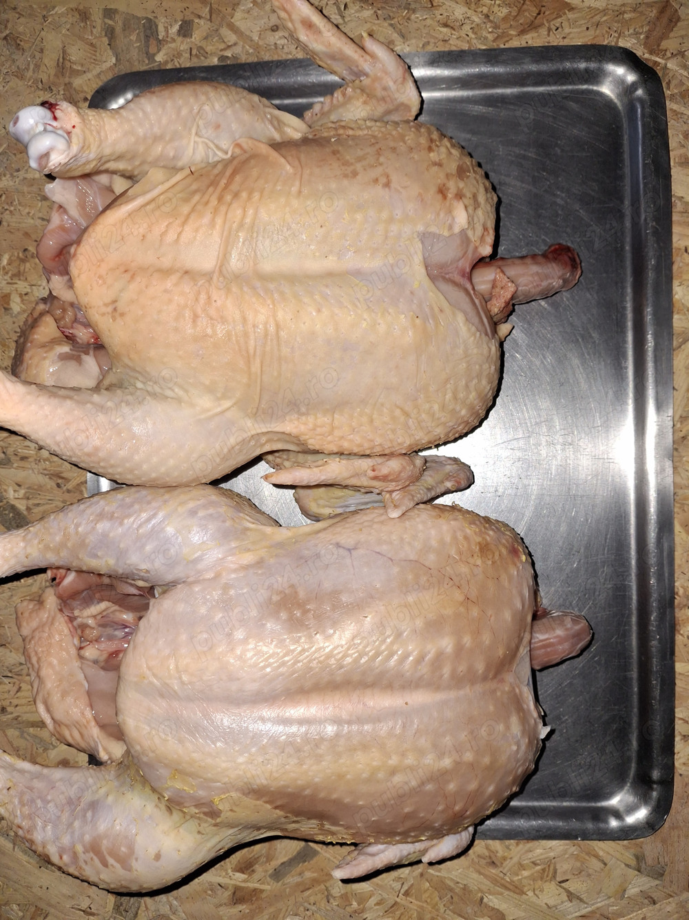 Vând pui gustosi de casa