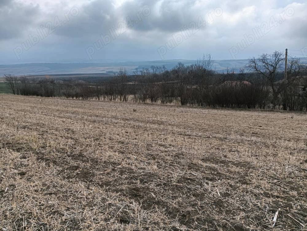 Vând casă batraneasca cu 3 60 hectare langa casa