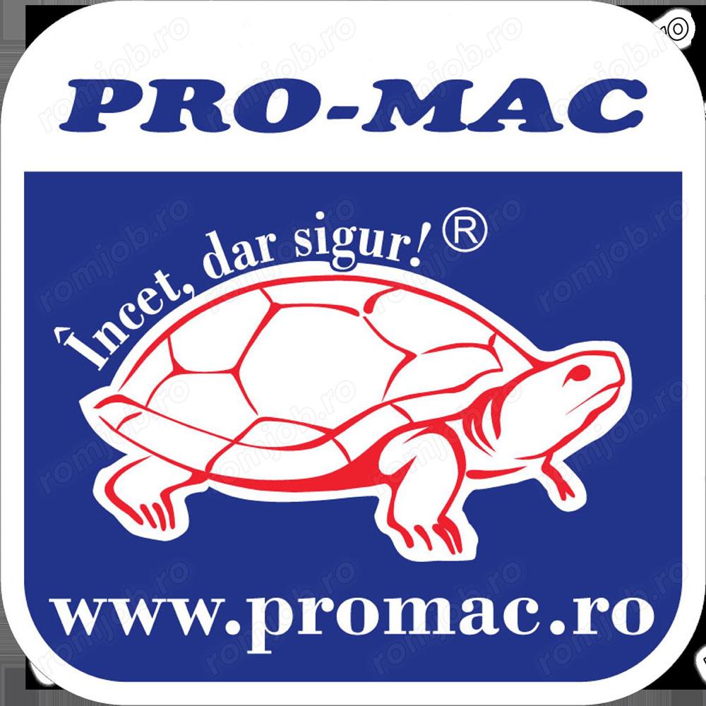 Vânzătoare Magazin Ceramică 