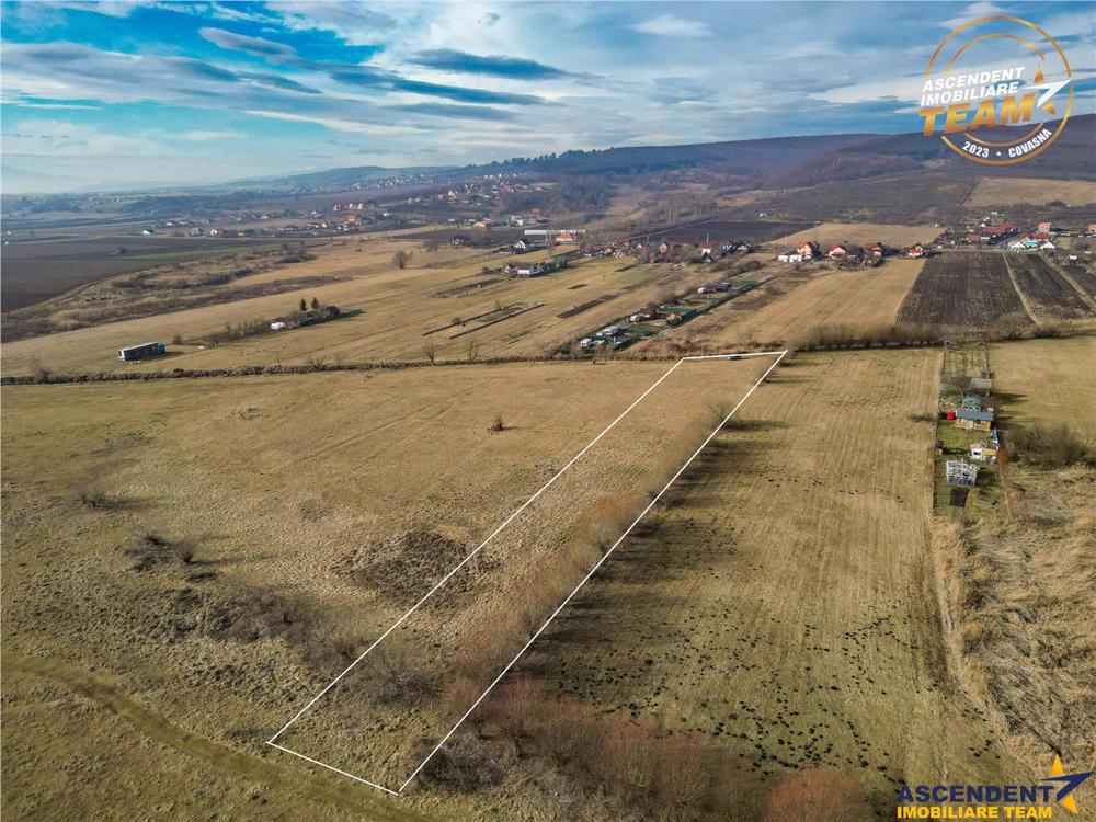 Teren extravilan de 5.800 mp in Sfantu Gheorghe:oportunitate Investie Exploatare agricola