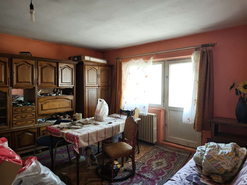 Apartament 1 Camera Medicina, Badea Cartan ,Telegrafului