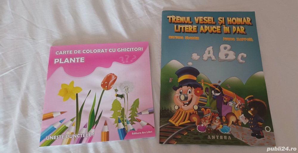 seturi de 2 carti pt copii 