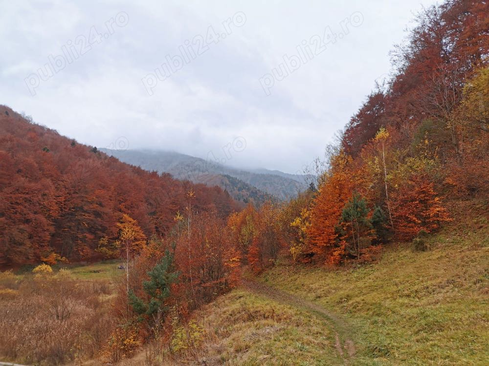 Casa cu mansarda Cernisoara Valcea