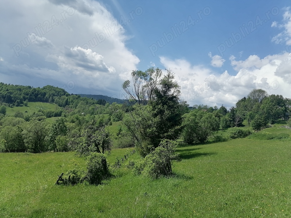 Teren de vânzare în Scărișoara Alba