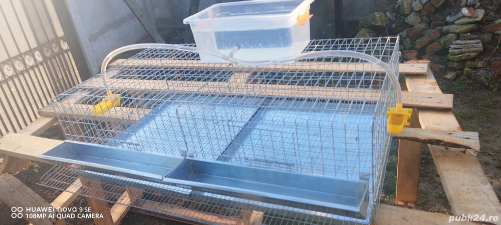 Cușcă prepelițe 50 pasari