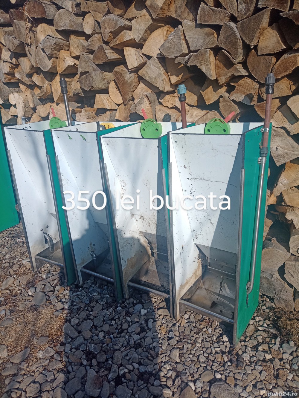 hranitori porci citiți anunțul!