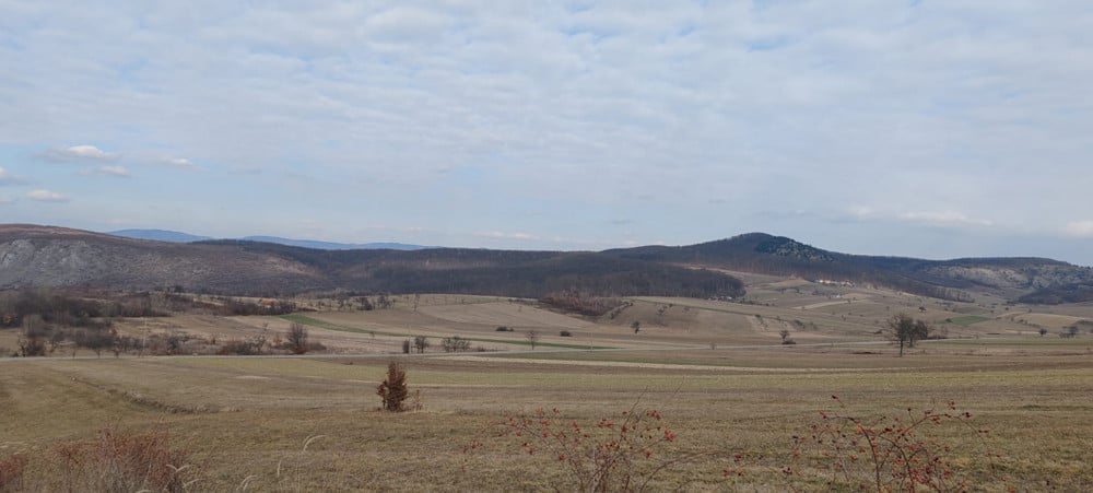 Teren extravilan de vânzare – Fasca, Comuna Vârciorog, Județul Bihor