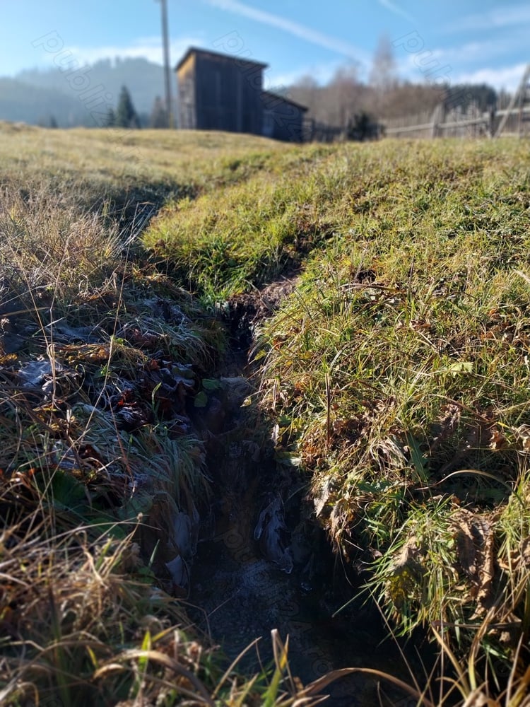 Teren de vanzare in Bucovina