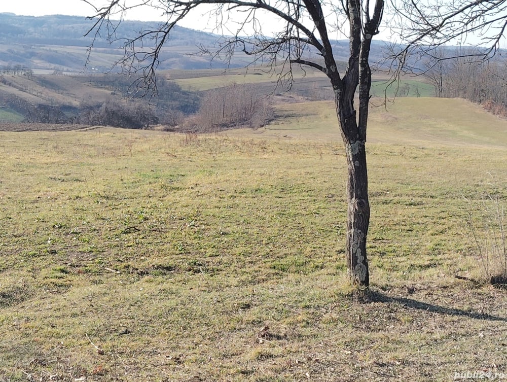 vand casa bătrânească in topa de sus are curent apa de la retea mai multe detali la telefon zona fru