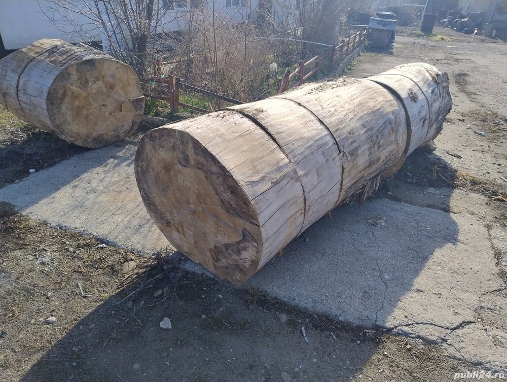 lemne pentru foc 