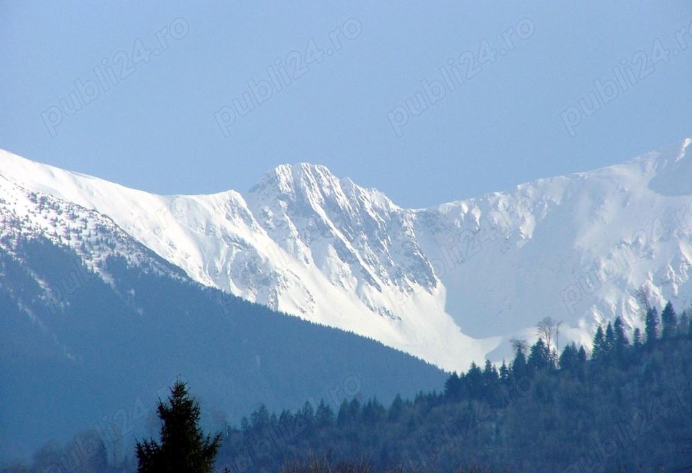 Teren de vanzare Valea Avrigului