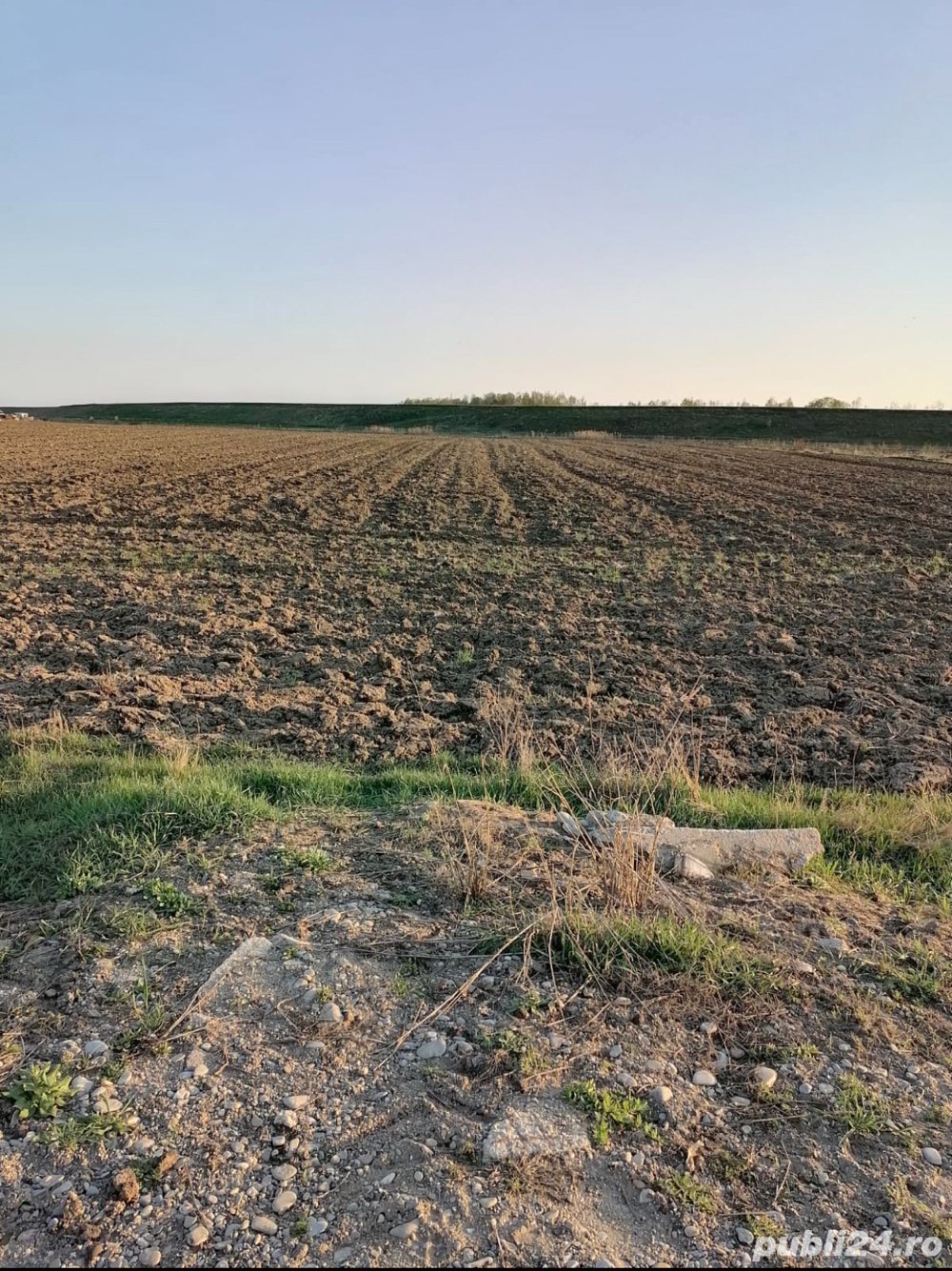 Vand teren in Clinceni, Ordoreanu