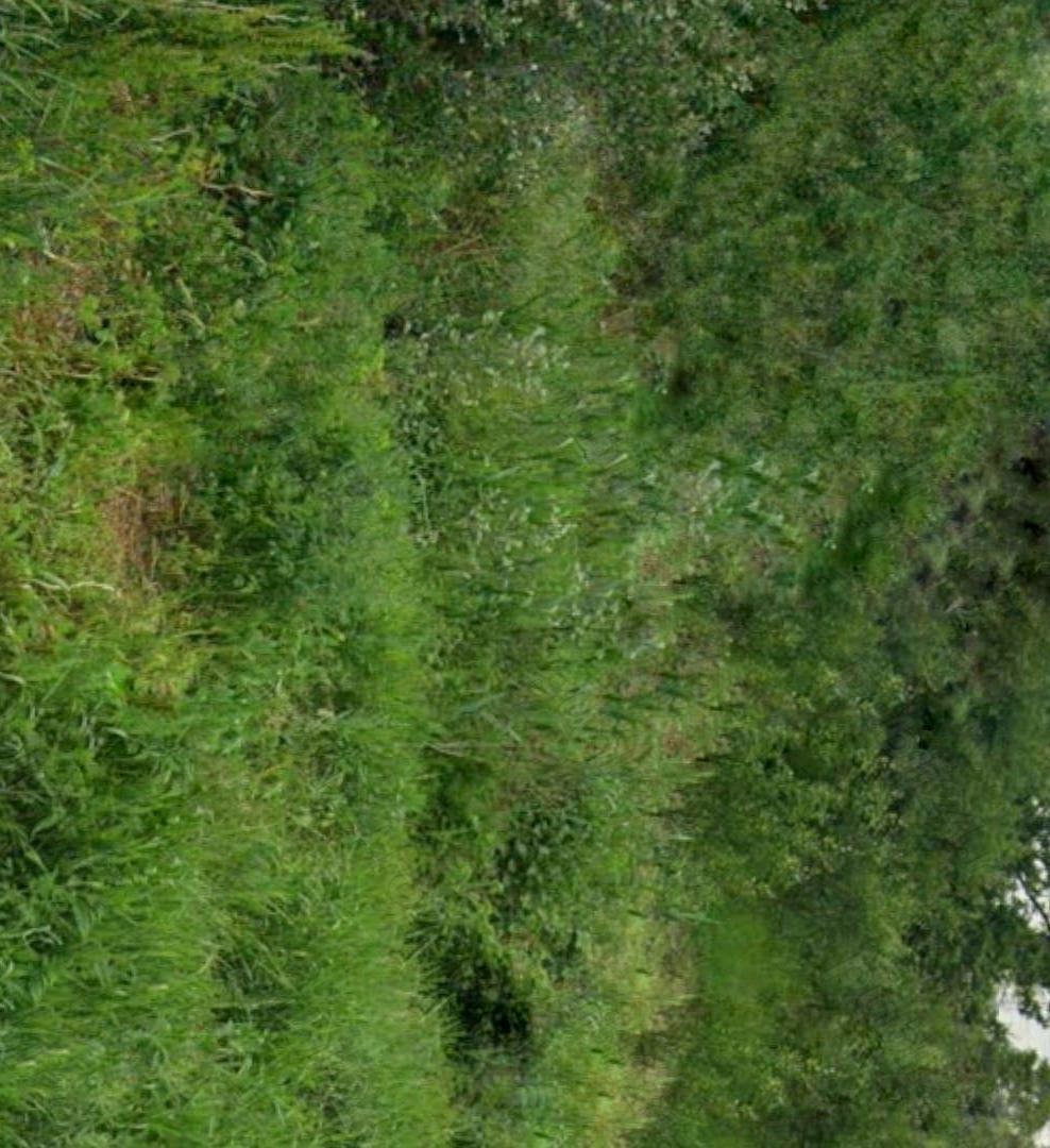 Teren  intravilan in comuna Zerind, la 12 km de orașul Chișineu-Criș