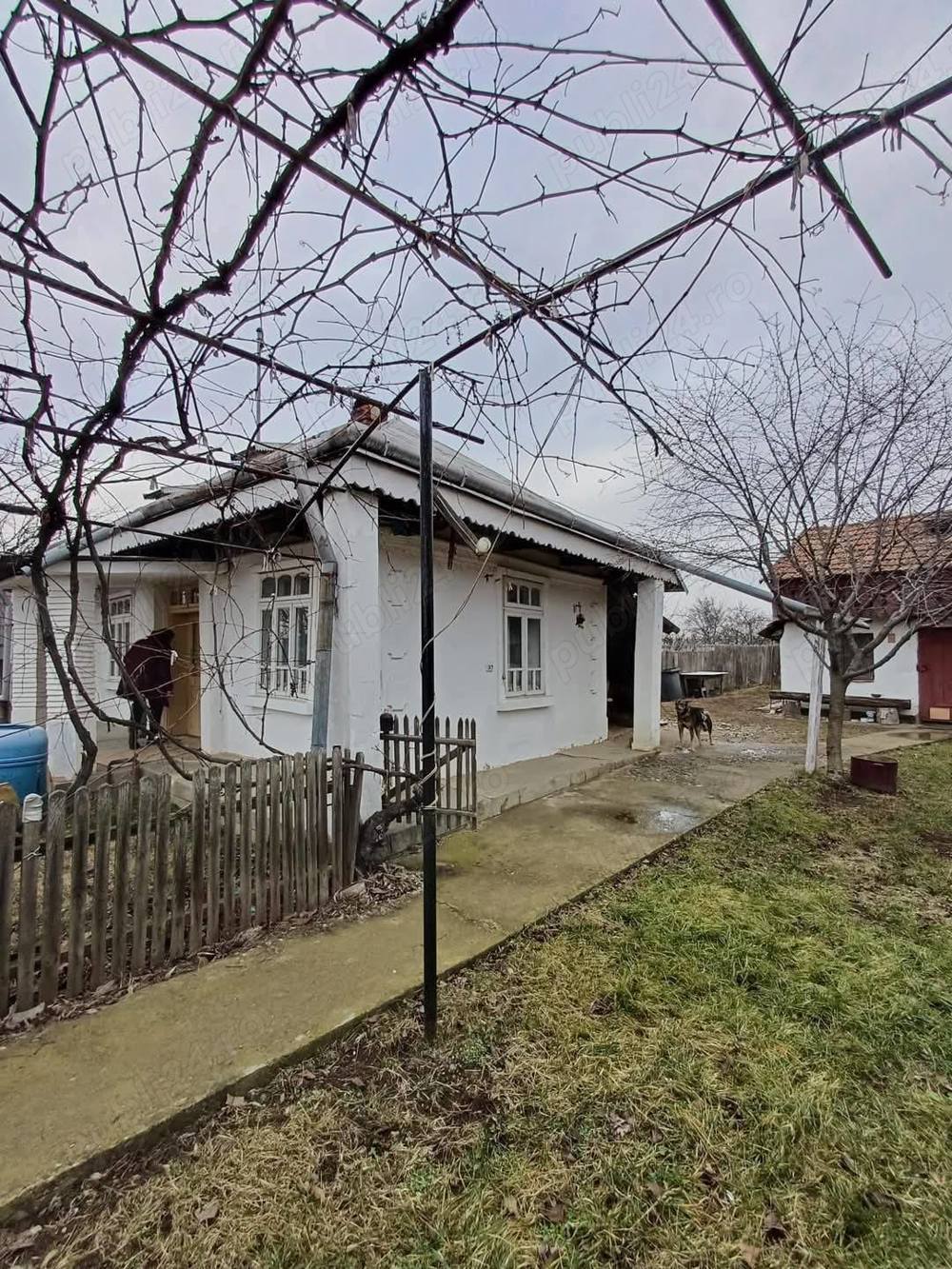 De vanzare casa parinteasca, teren 5000mp , pret 46000 euro