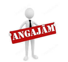 Agent Vanzari Orange Agent Vanzari Orange